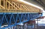 scaffold